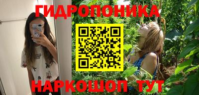 дживик Аргун