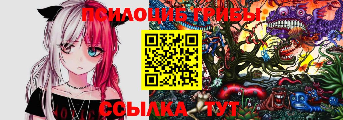 Псилоцибиновые грибы Cubensis Бийск