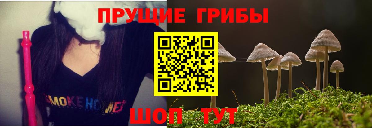 Бийск  Галлюциногенные грибы Psilocybe  Вход с VPN 